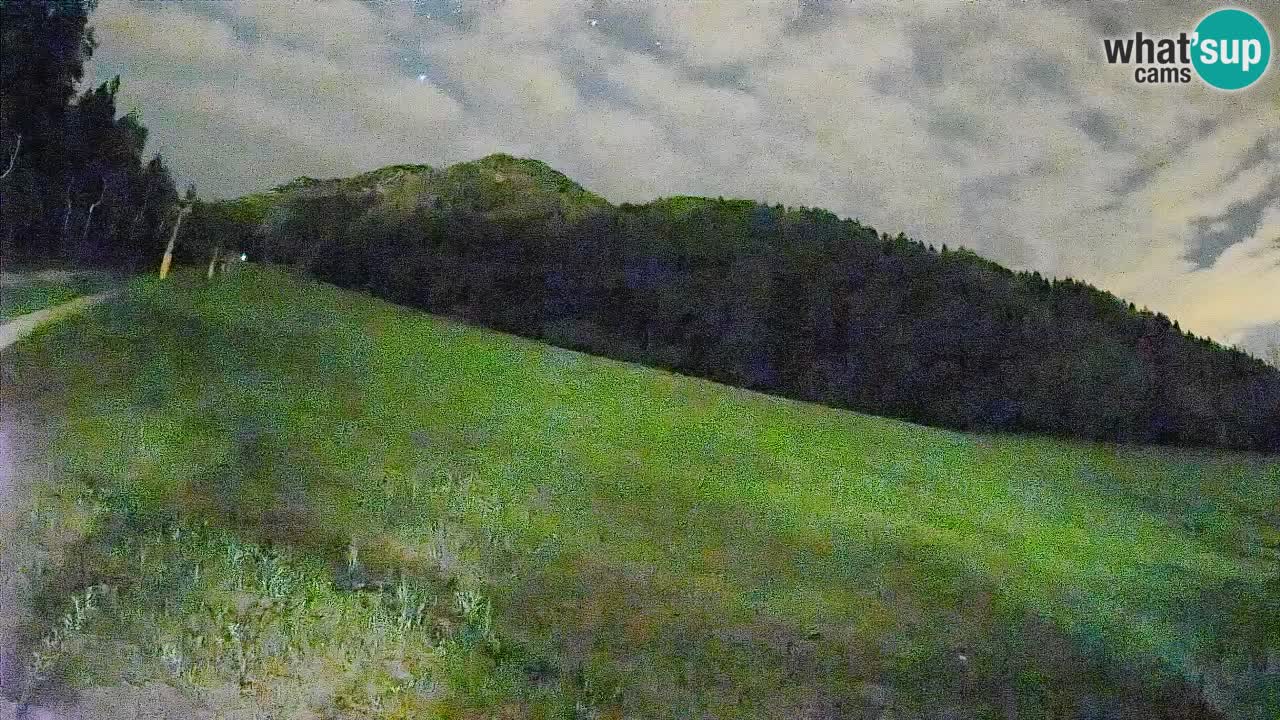 Comprensorio sciistico Kranjska Gora | Brsnina