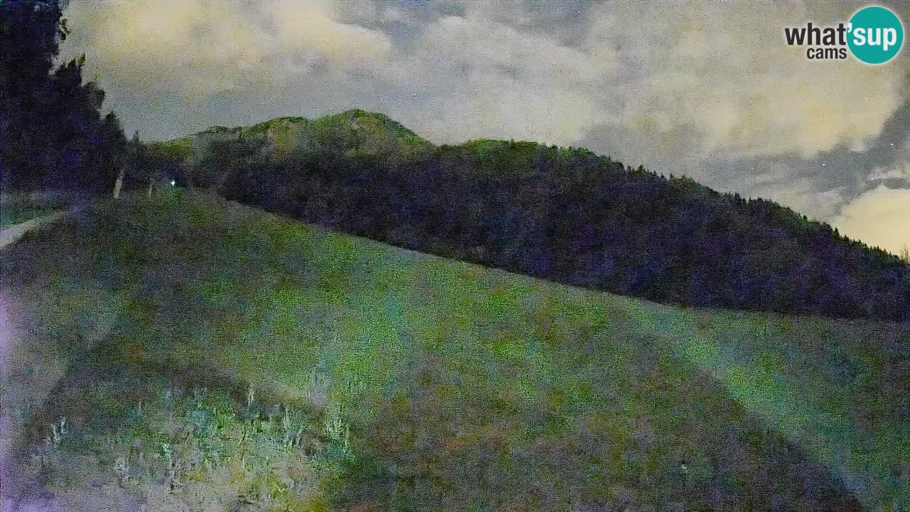 Ski Kranjska Gora | Brsnina