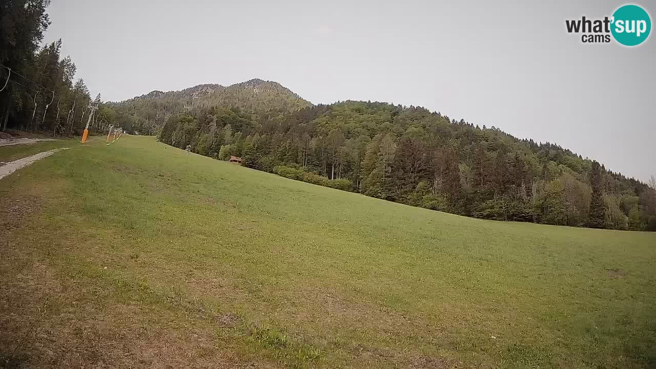RTC Skigebiet Kranjska Gora | Brsnina