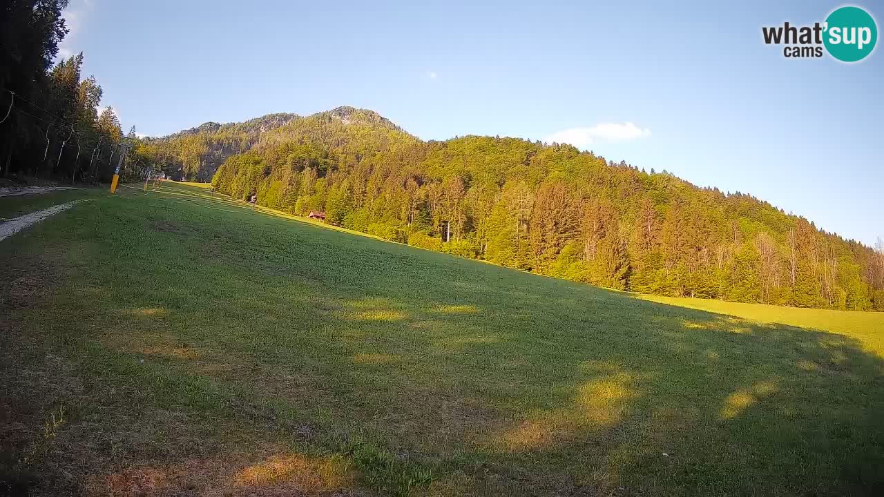 RTC Kranjska Gora | Brsnina