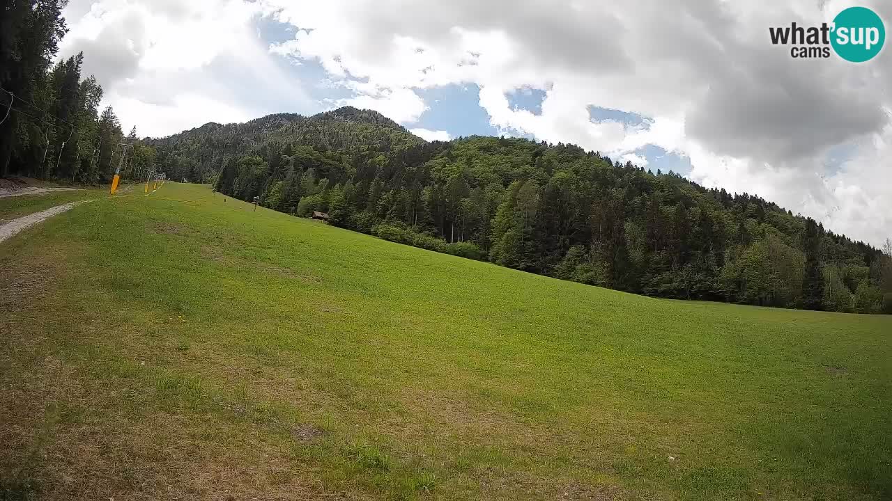 Esquí Kranjska Gora | Brsnina