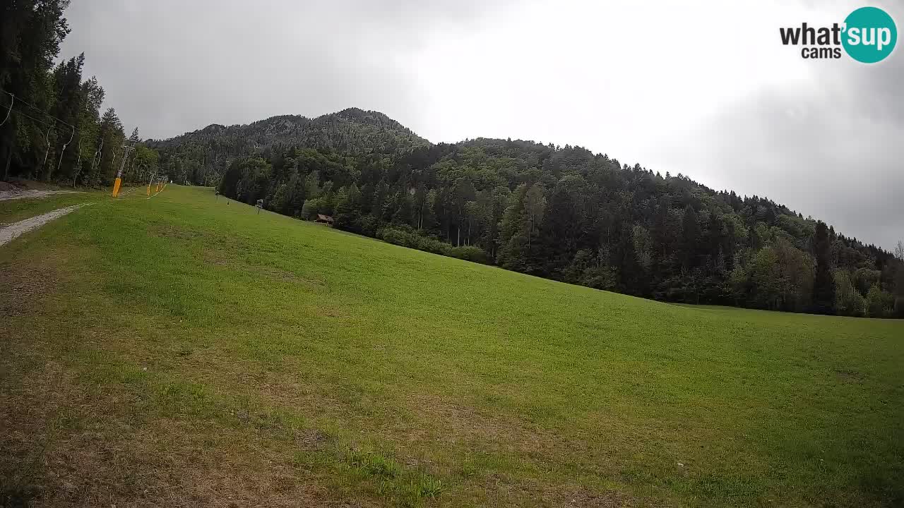 Kranjska Gora Station de ski | Brsnina