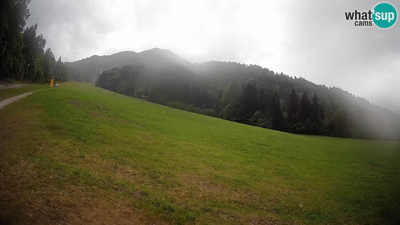 Esquí Kranjska Gora | Brsnina
