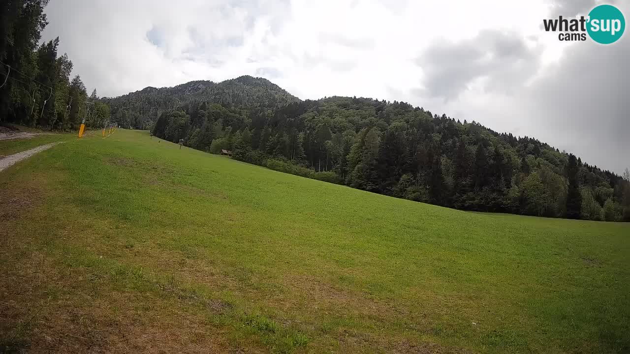 Ski Kranjska Gora | Brsnina