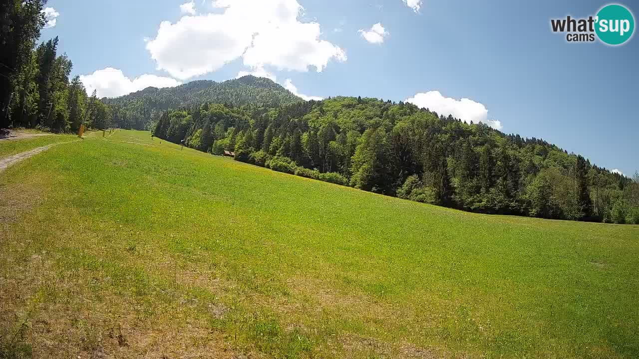 RTC Skigebiet Kranjska Gora | Brsnina