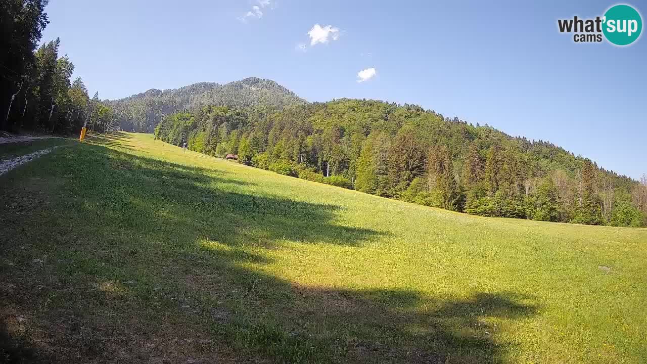 RTC Kranjska Gora | Brsnina