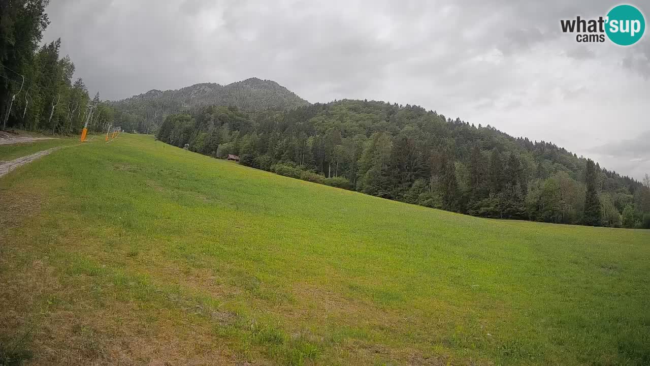 RTC Kranjska Gora | Brsnina