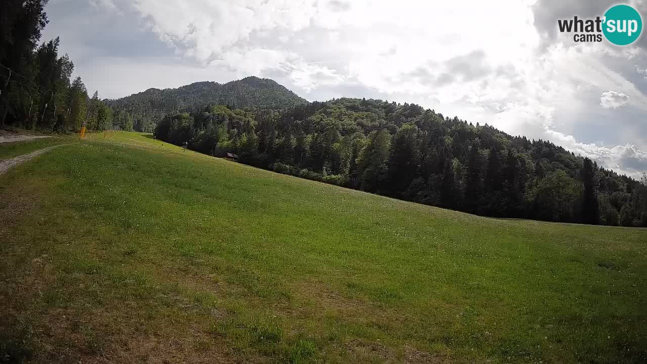 Esquí Kranjska Gora | Brsnina