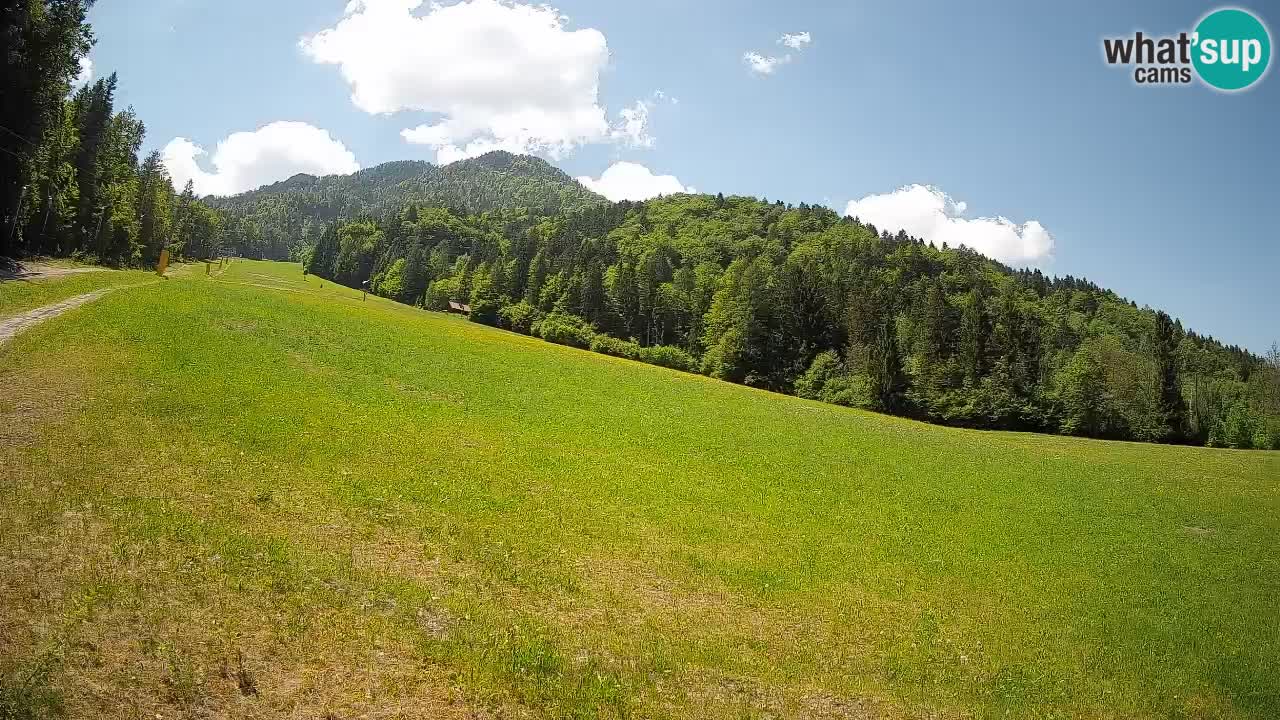 RTC Kranjska Gora | Brsnina