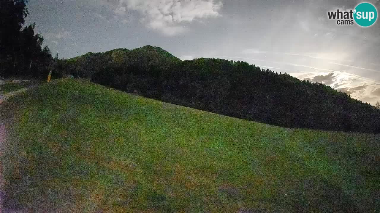 Comprensorio sciistico Kranjska Gora | Brsnina