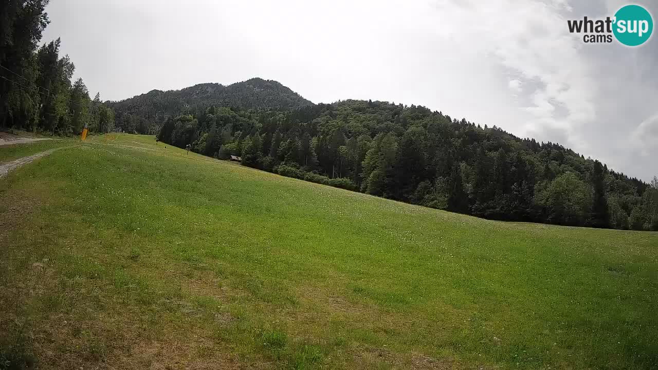 Esquí Kranjska Gora | Brsnina