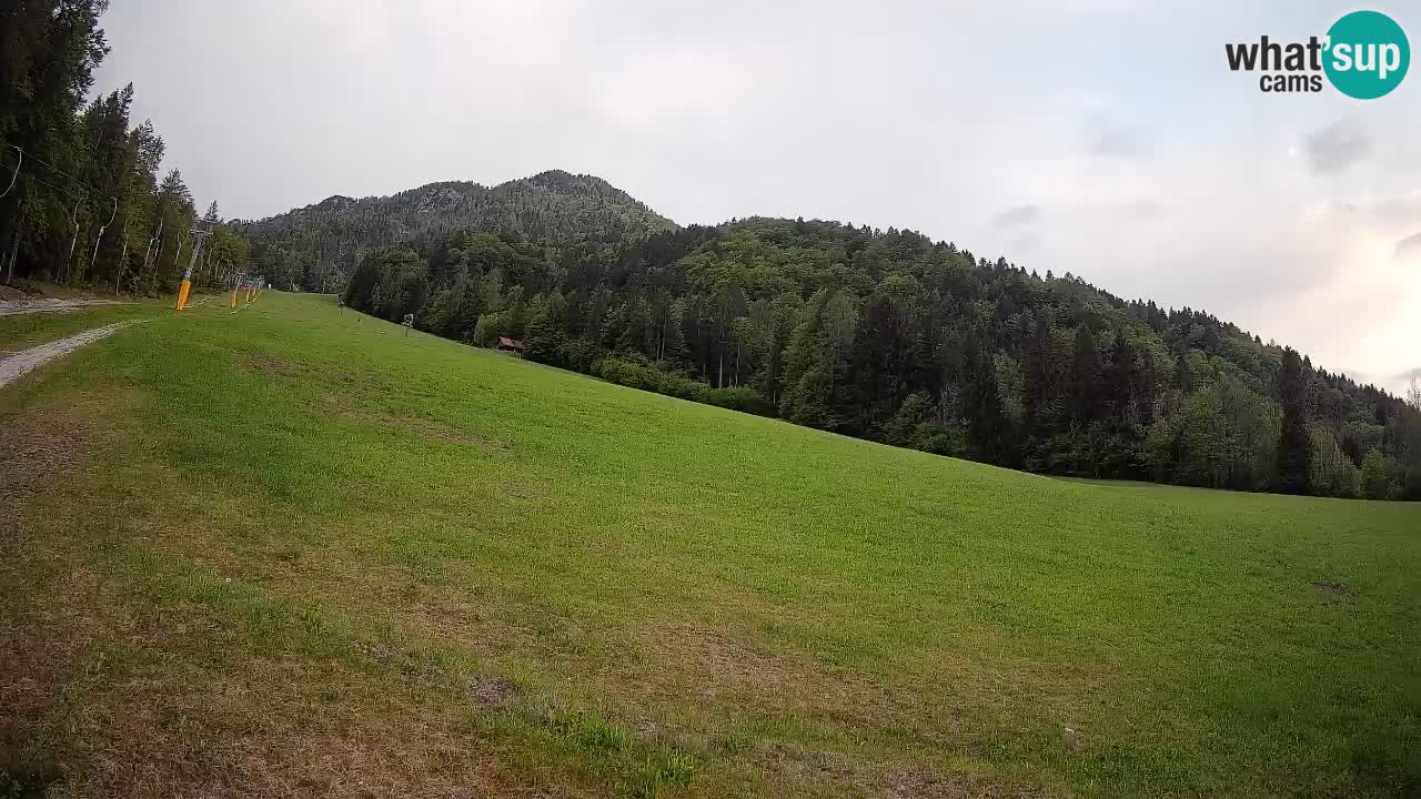 Kranjska Gora SKIJANJE | Brsnina
