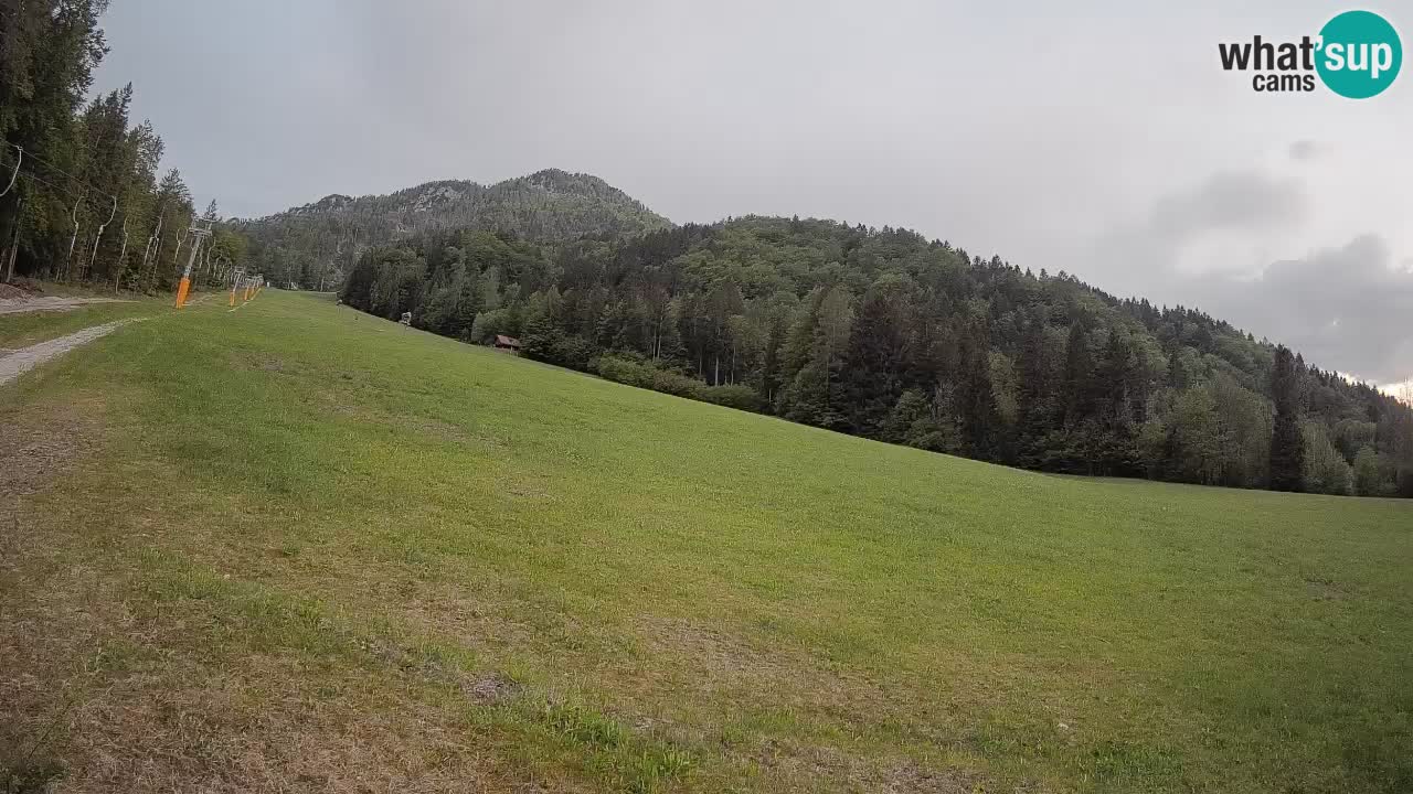 Kranjska Gora Station de ski | Brsnina