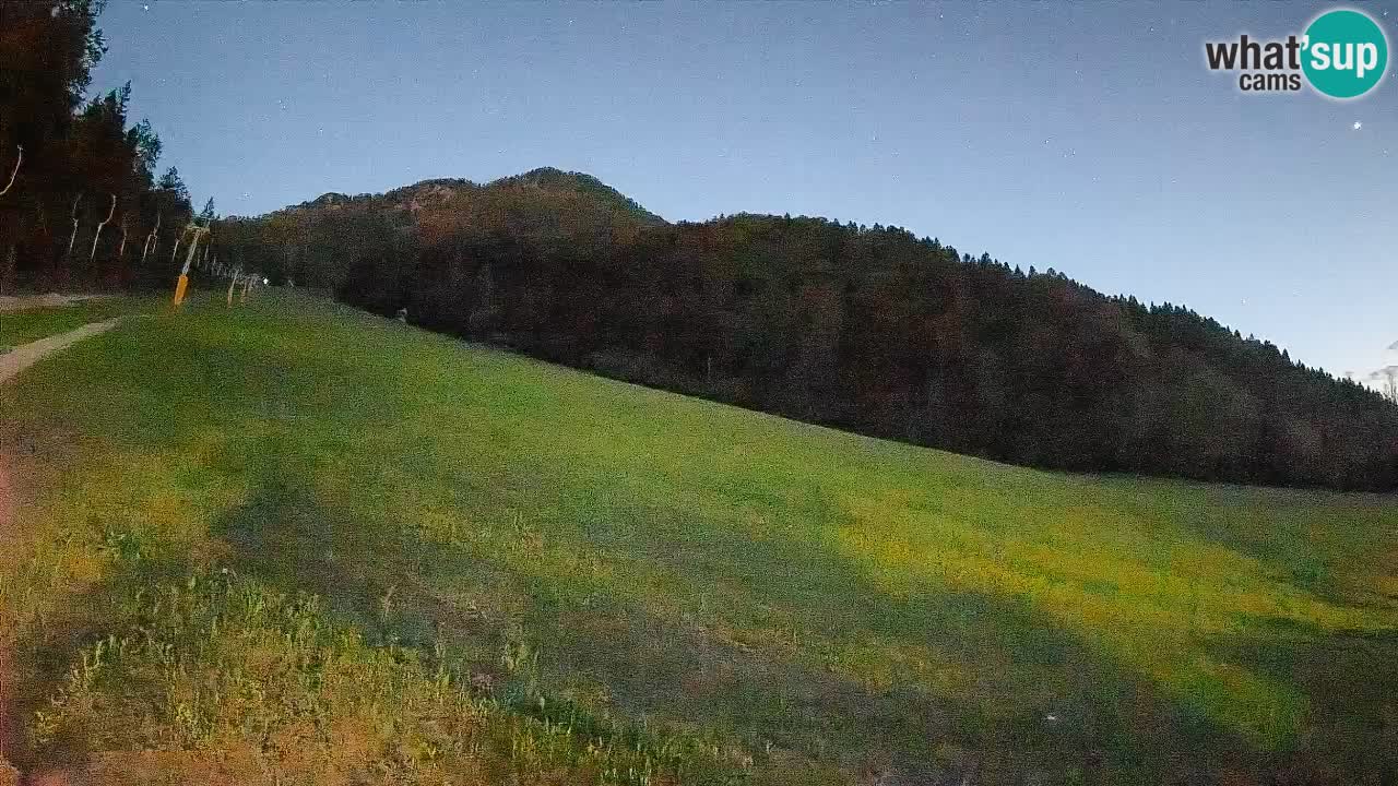 RTC Kranjska Gora | Brsnina