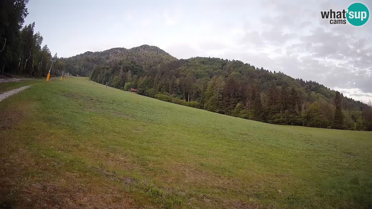 Esquí Kranjska Gora | Brsnina