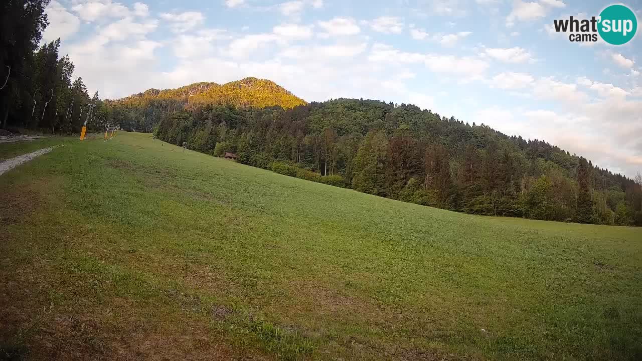 Ski Kranjska Gora | Brsnina