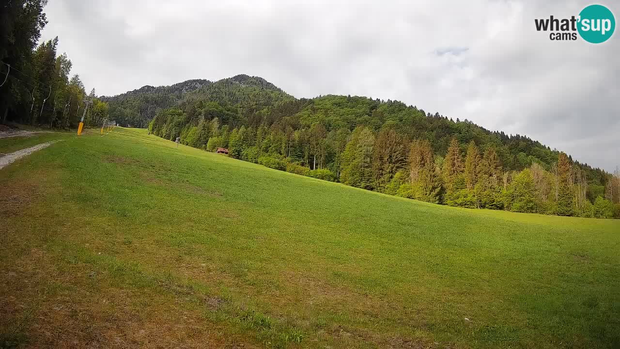 Esquí Kranjska Gora | Brsnina
