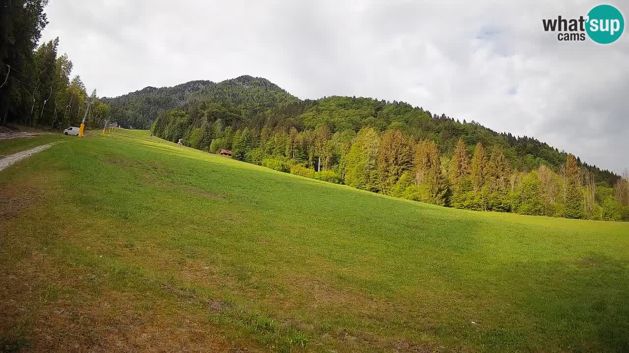 Comprensorio sciistico Kranjska Gora | Brsnina