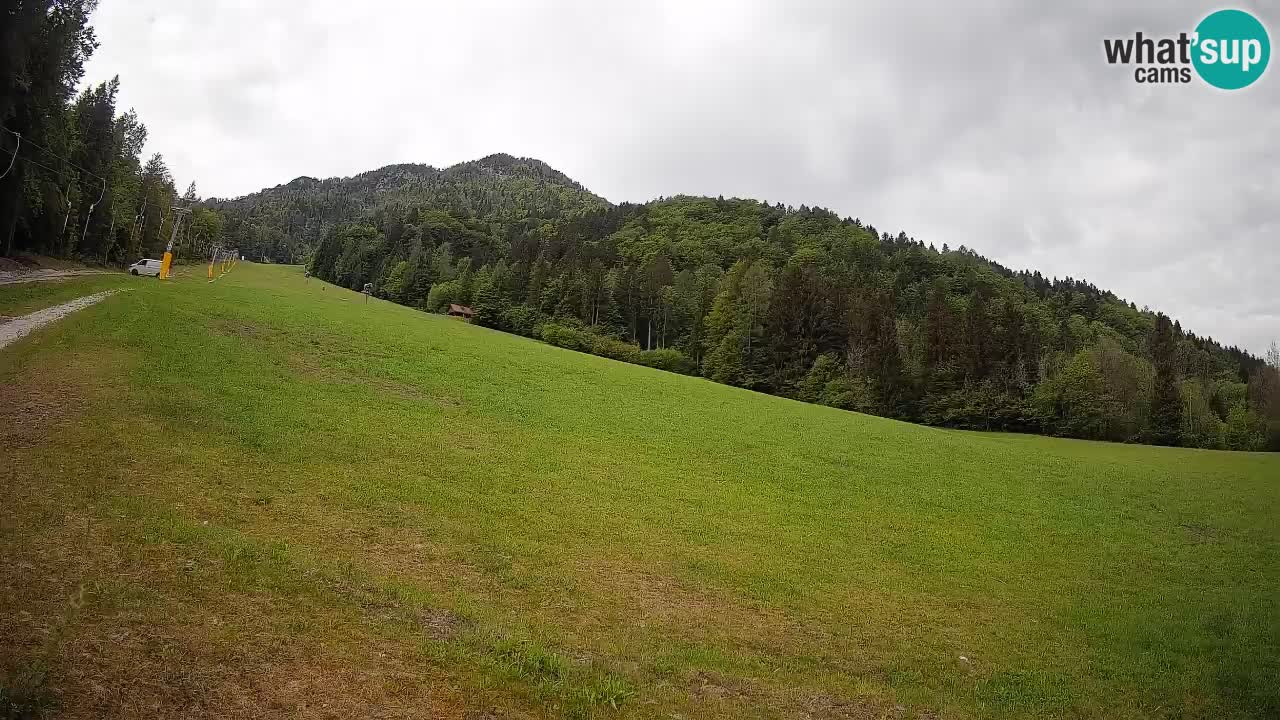 RTC Kranjska Gora | Brsnina