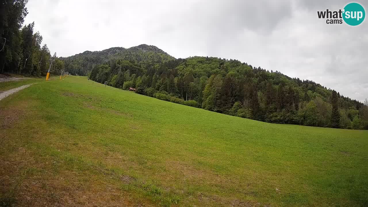 RTC Kranjska Gora | Brsnina