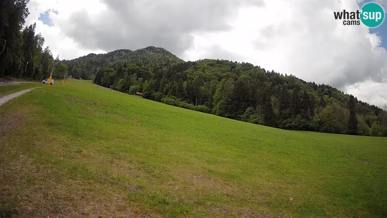 Kranjska Gora SKIJANJE | Brsnina