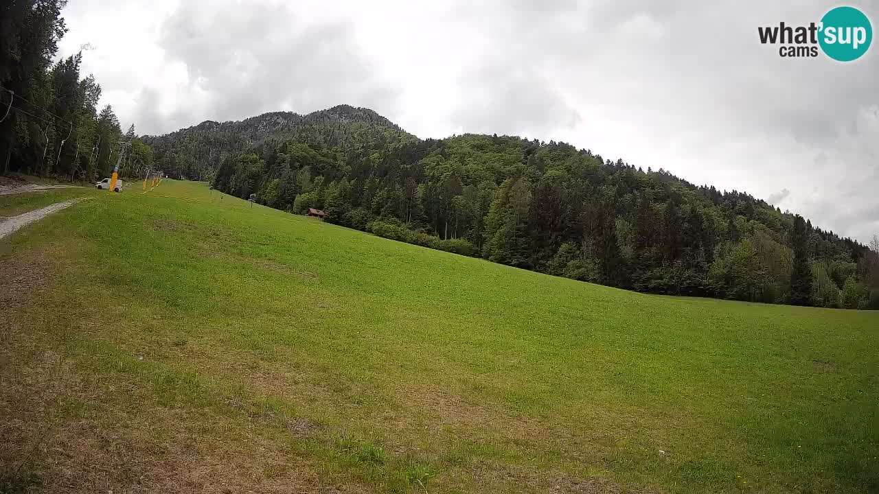 Ski Kranjska Gora | Brsnina
