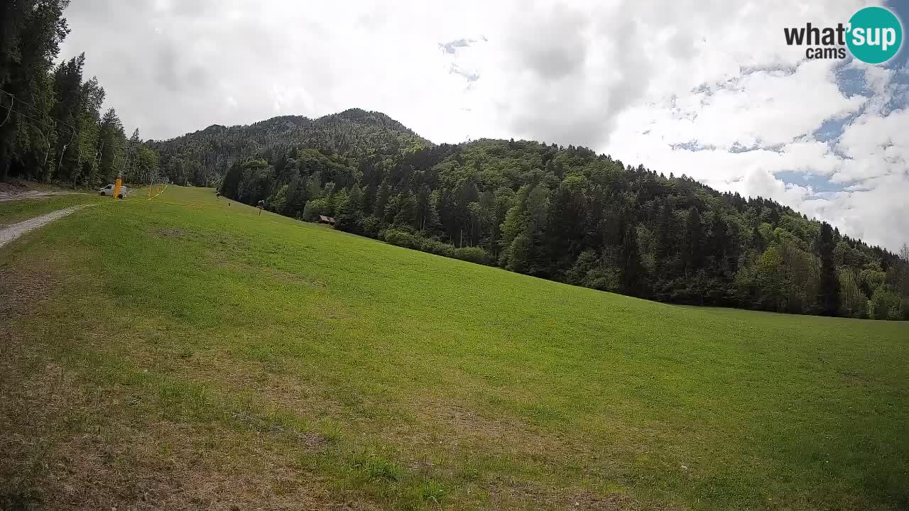 Ski Kranjska Gora | Brsnina