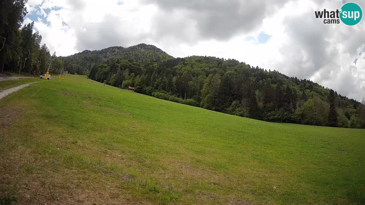 RTC Skigebiet Kranjska Gora | Brsnina