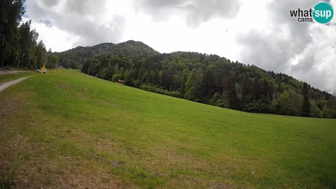 RTC Skigebiet Kranjska Gora | Brsnina