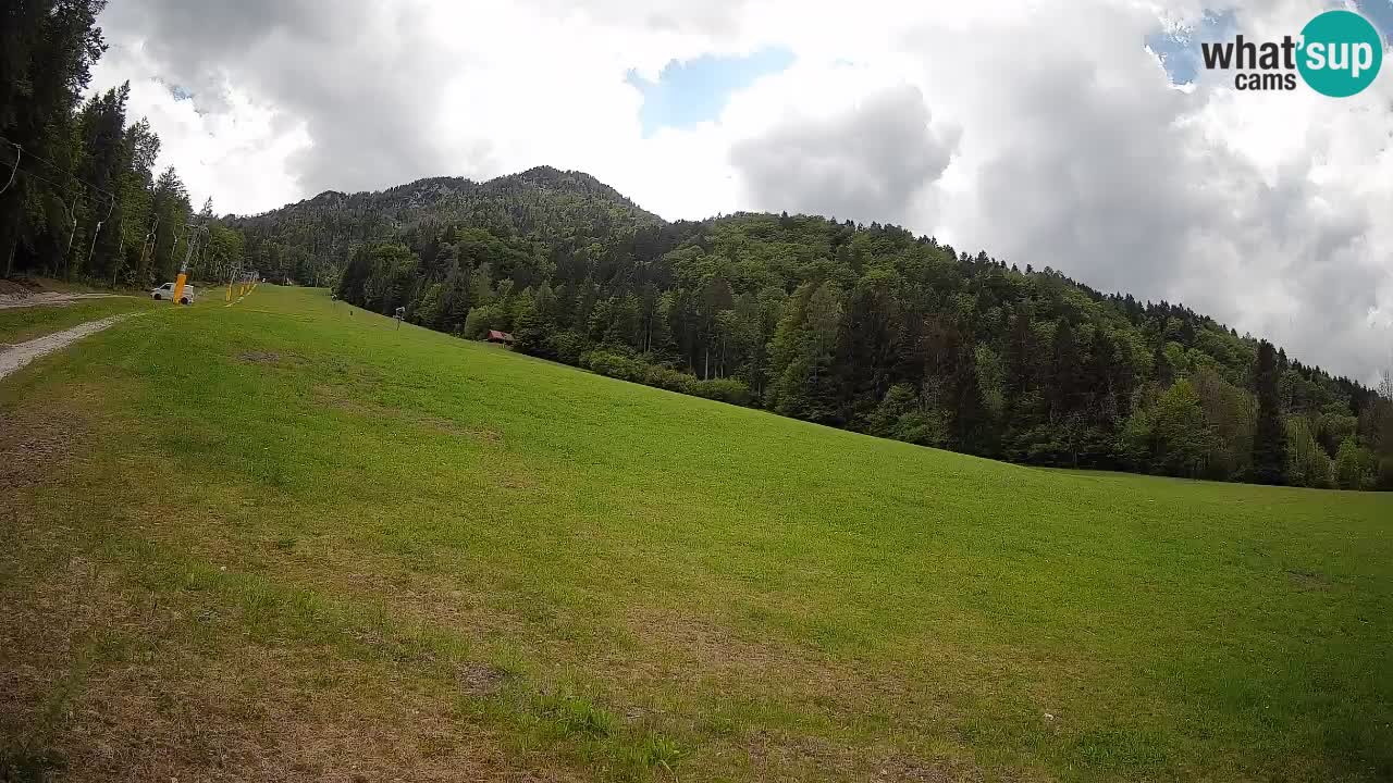 Ski Kranjska Gora | Brsnina