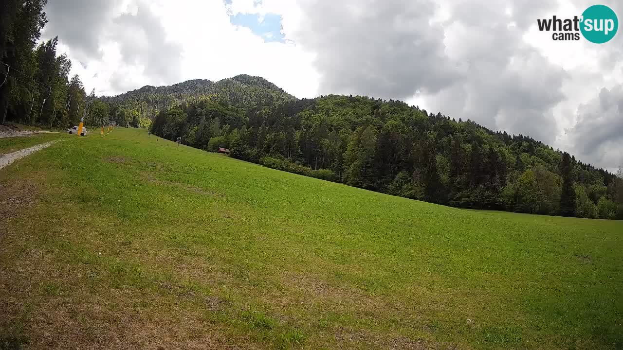 Ski Kranjska Gora | Brsnina