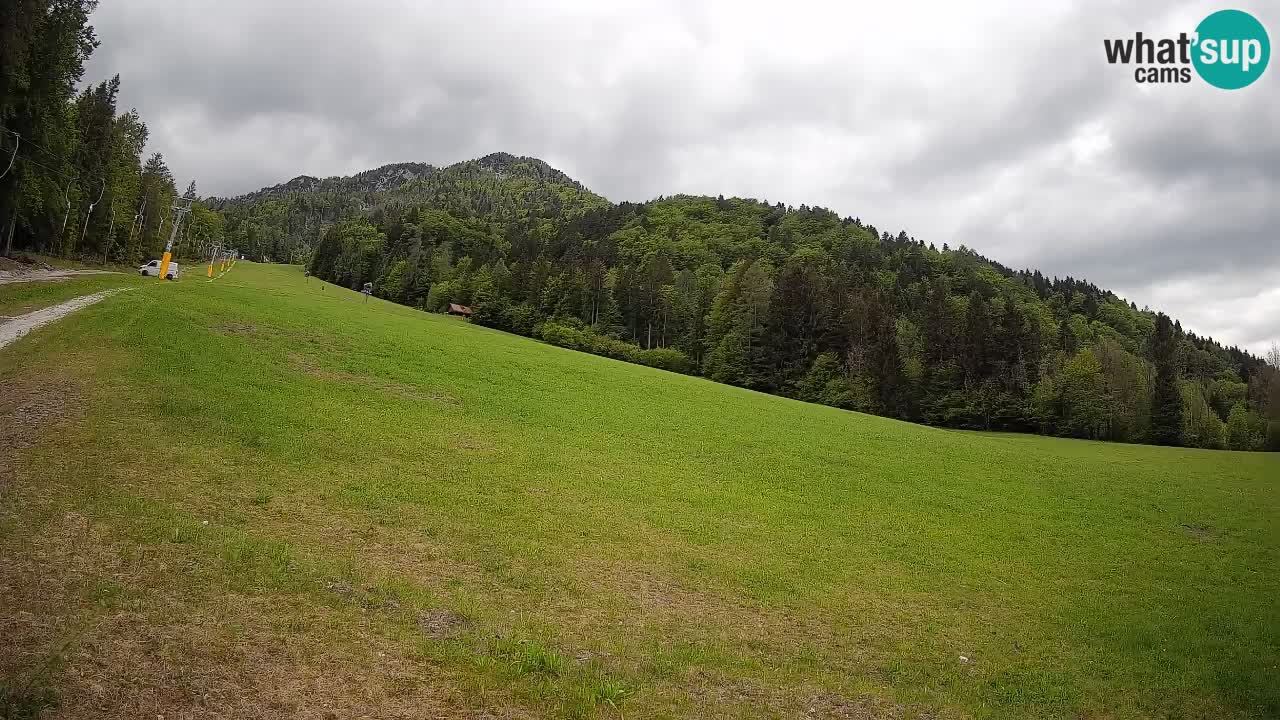 Comprensorio sciistico Kranjska Gora | Brsnina