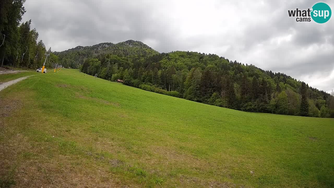 Comprensorio sciistico Kranjska Gora | Brsnina