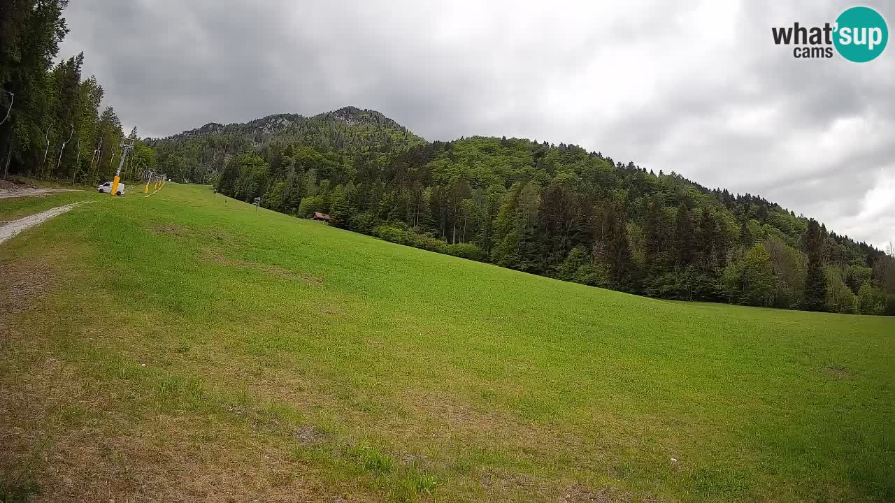 Comprensorio sciistico Kranjska Gora | Brsnina