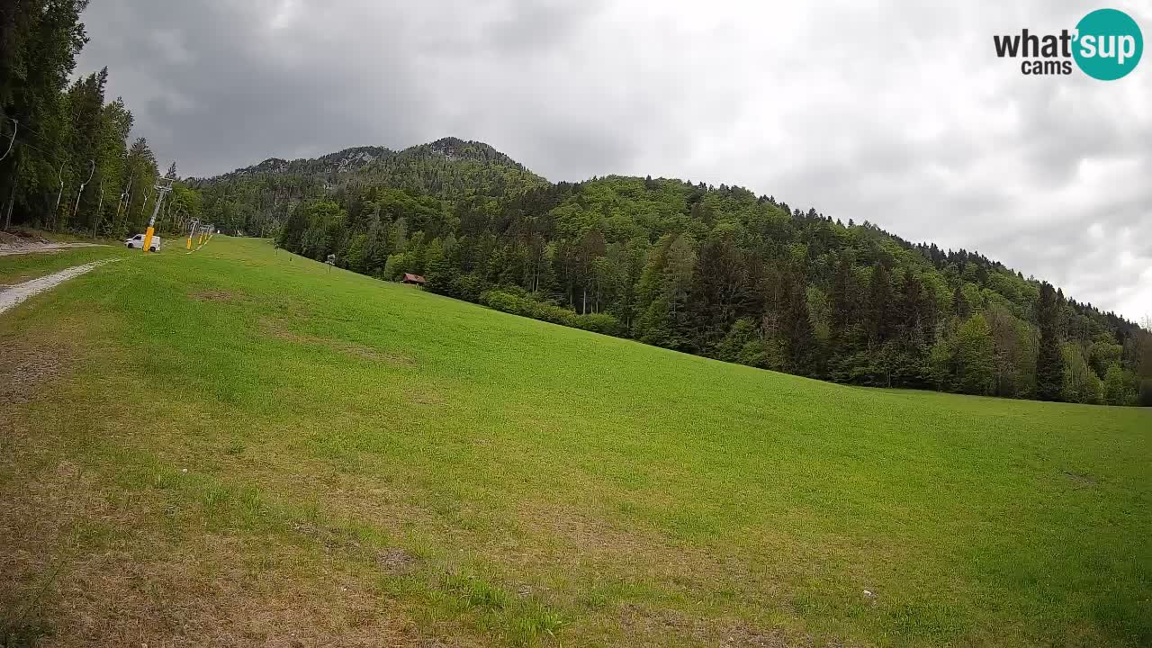 Kranjska Gora Station de ski | Brsnina