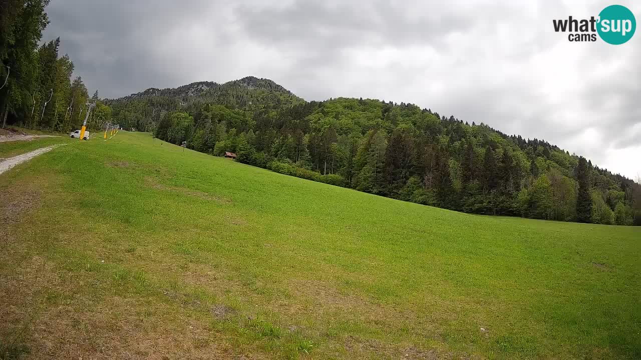 RTC Kranjska Gora | Brsnina