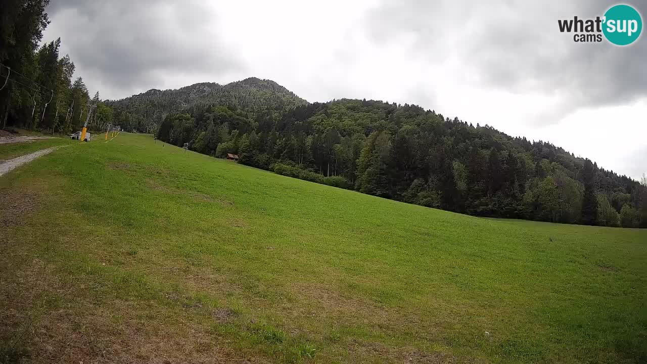 Kranjska Gora Station de ski | Brsnina