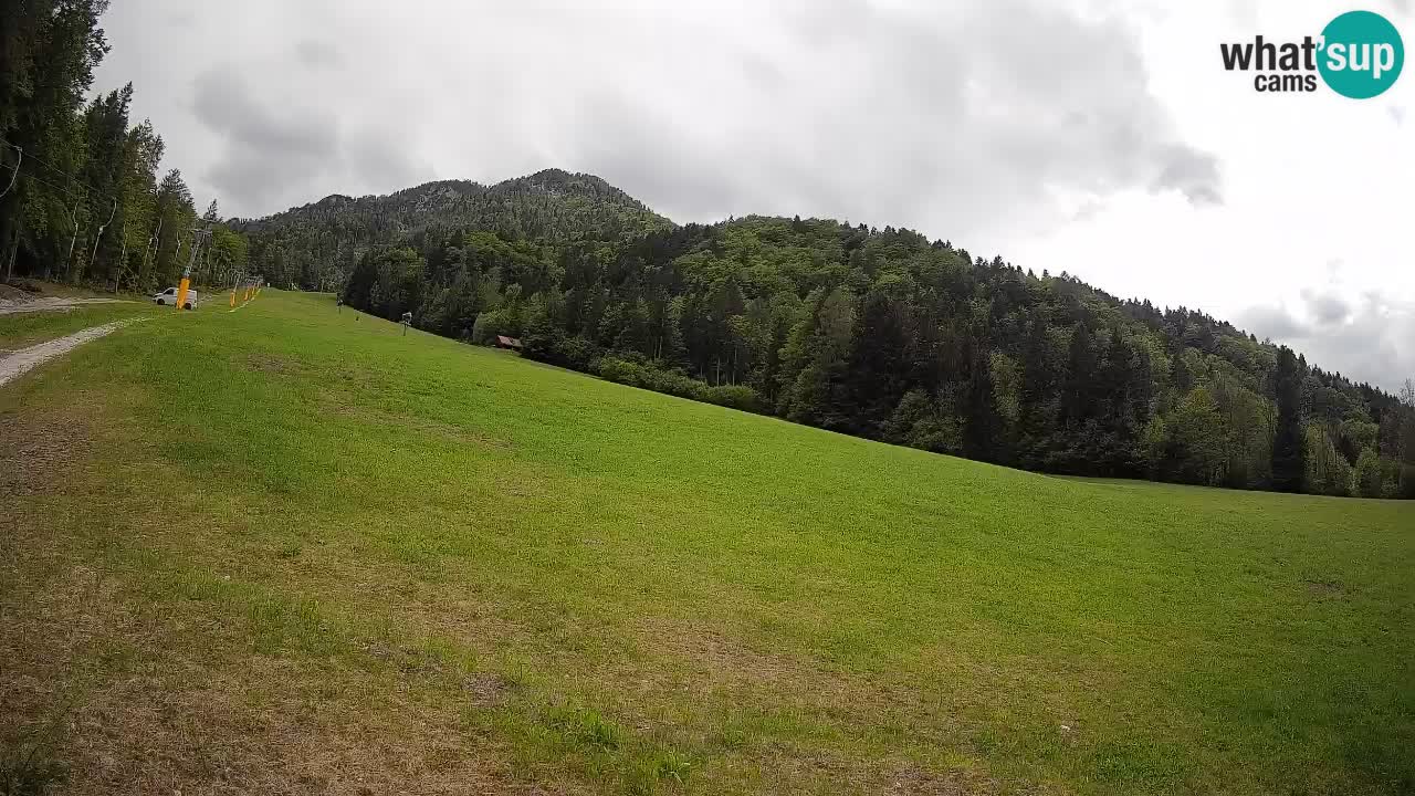 Comprensorio sciistico Kranjska Gora | Brsnina
