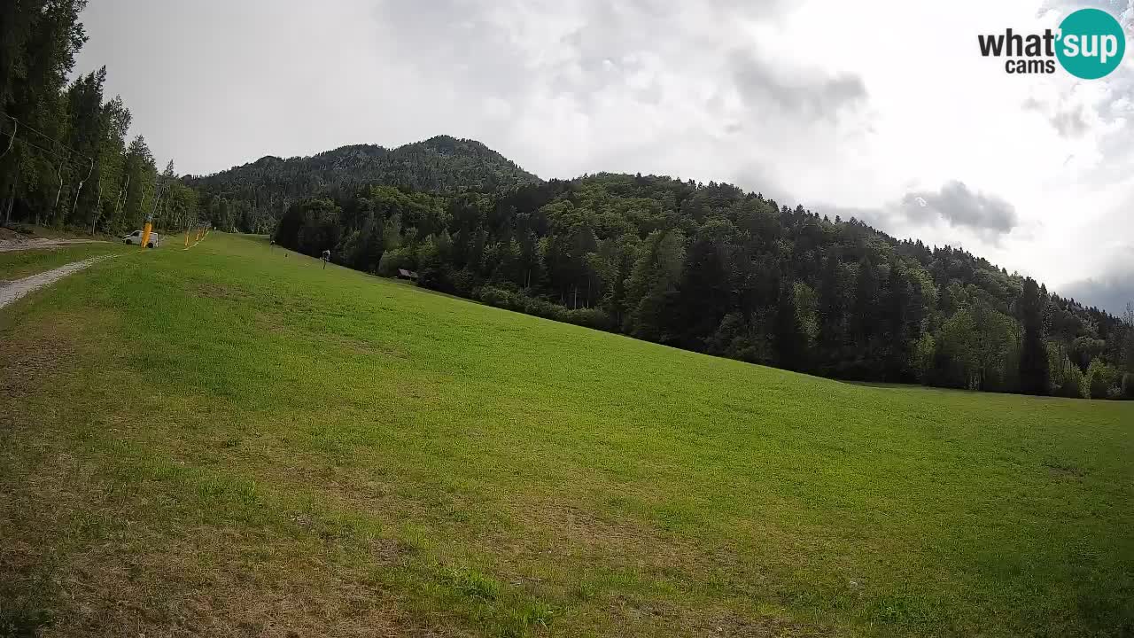 RTC Skigebiet Kranjska Gora | Brsnina