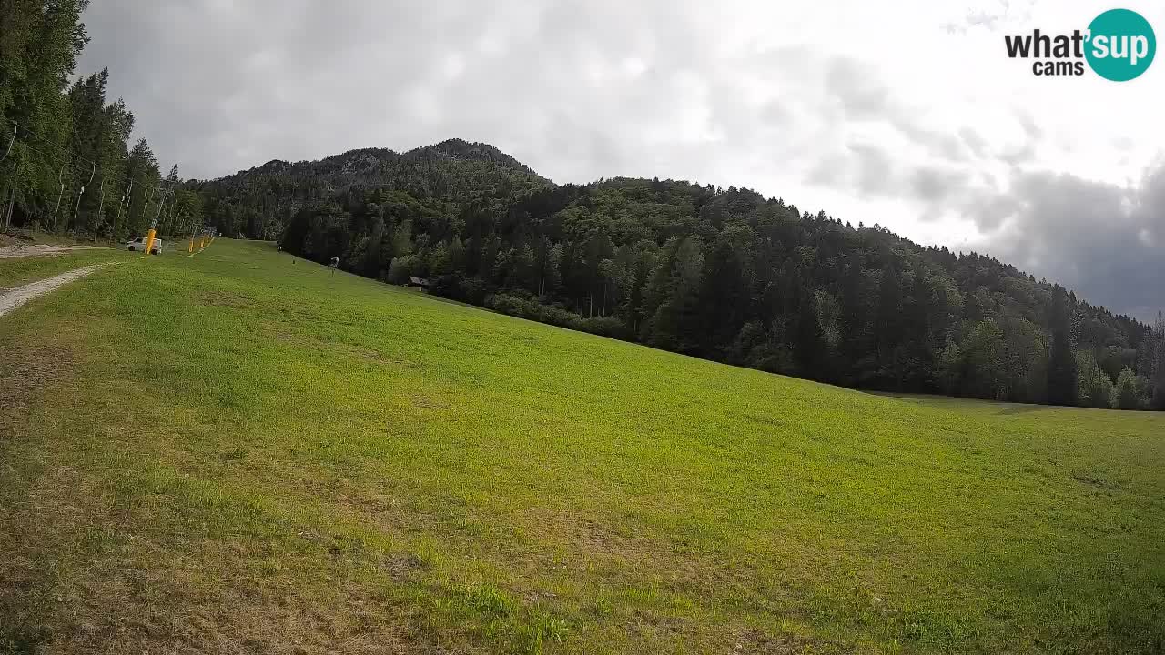 Ski Kranjska Gora | Brsnina