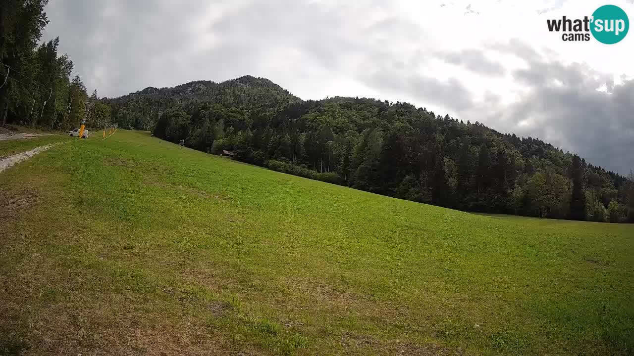 RTC Skigebiet Kranjska Gora | Brsnina