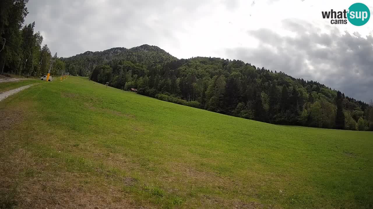 RTC Kranjska Gora | Brsnina