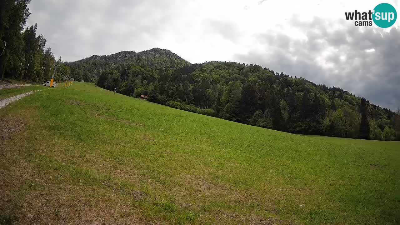 RTC Skigebiet Kranjska Gora | Brsnina