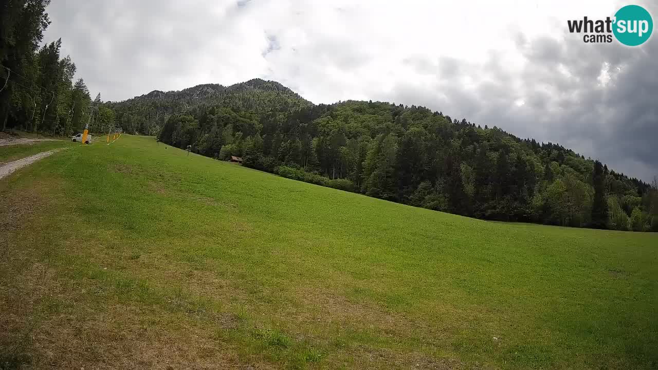 RTC Skigebiet Kranjska Gora | Brsnina