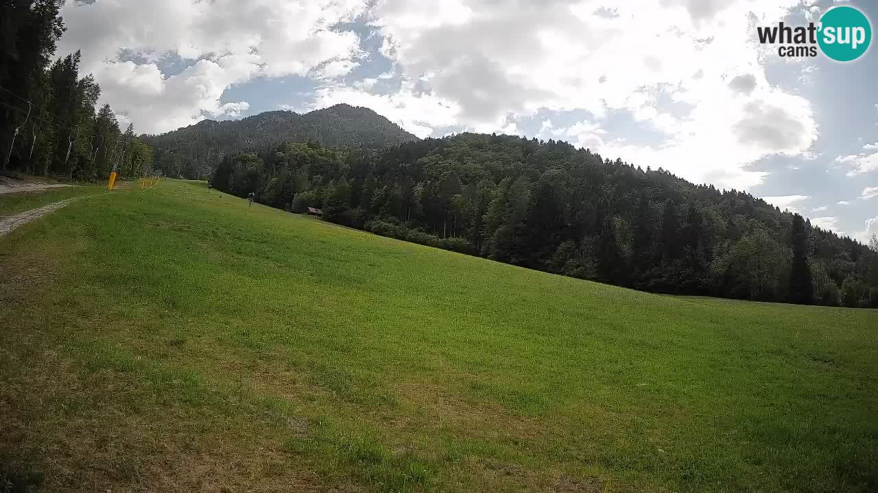 RTC Kranjska Gora | Brsnina