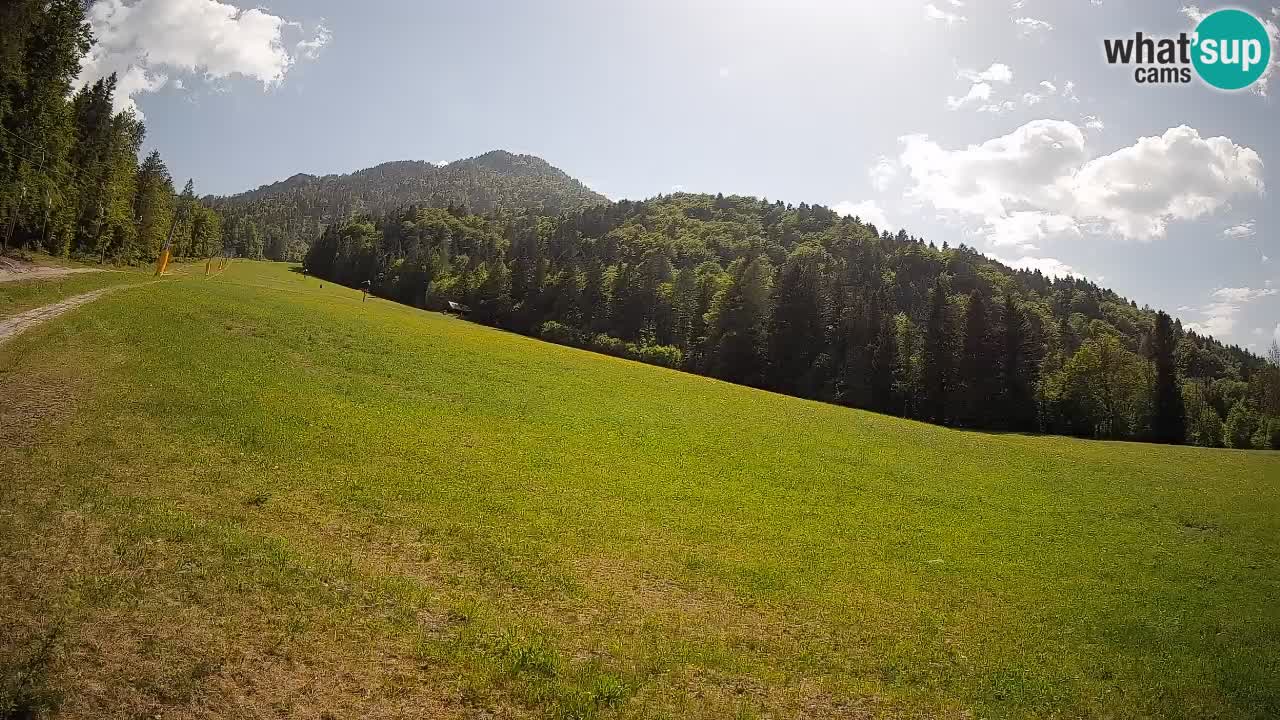 Ski Kranjska Gora | Brsnina