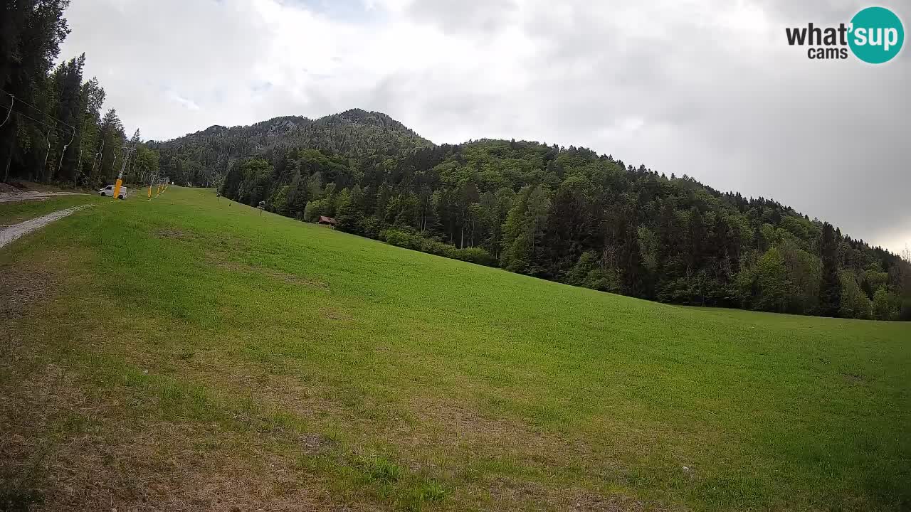 RTC Skigebiet Kranjska Gora | Brsnina