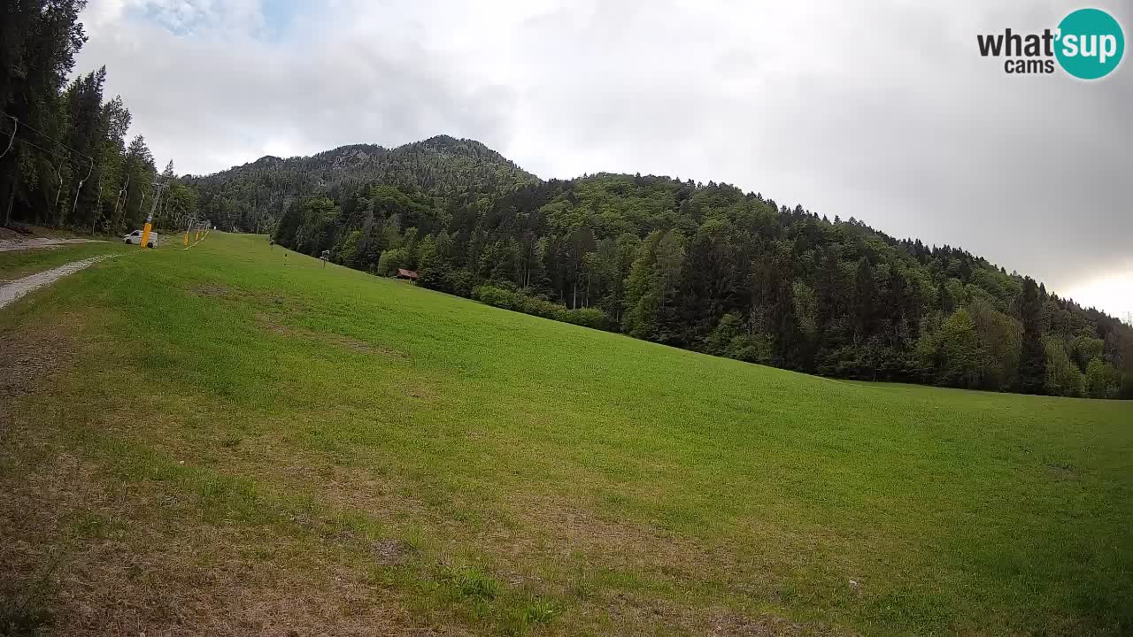 Kranjska Gora SKIJANJE | Brsnina