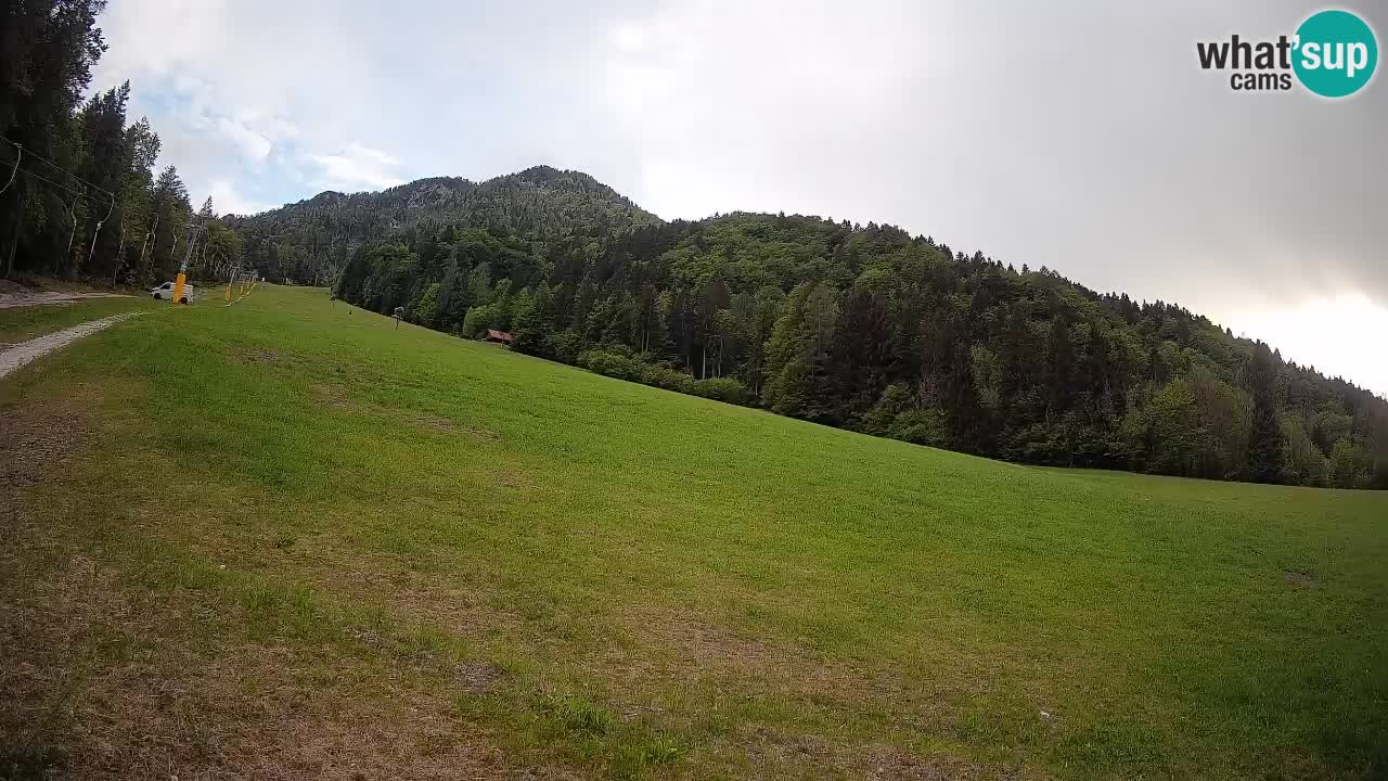 Comprensorio sciistico Kranjska Gora | Brsnina