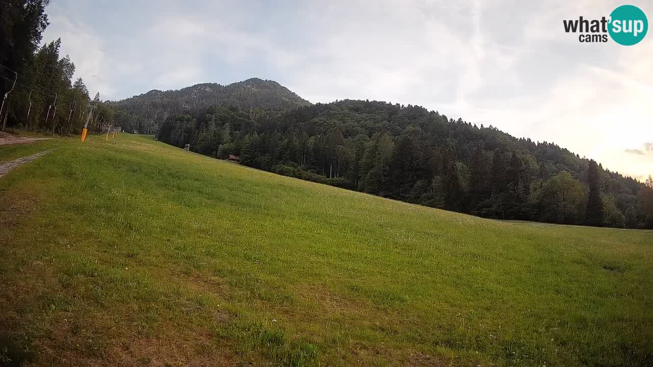 RTC Kranjska Gora | Brsnina
